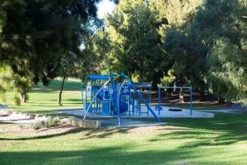 park image